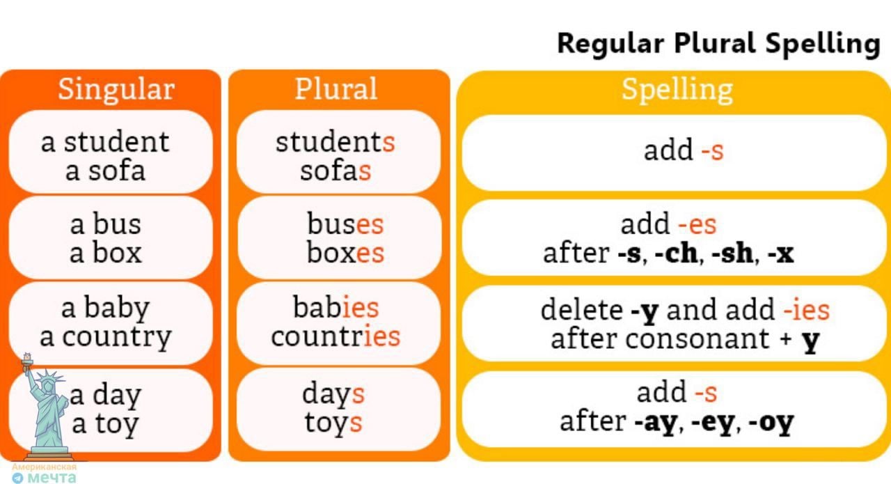 Regular class. Noun singular and plural правило. Plural of Nouns множественное число существительных. Plural Nouns правило. Plural Nouns правила.