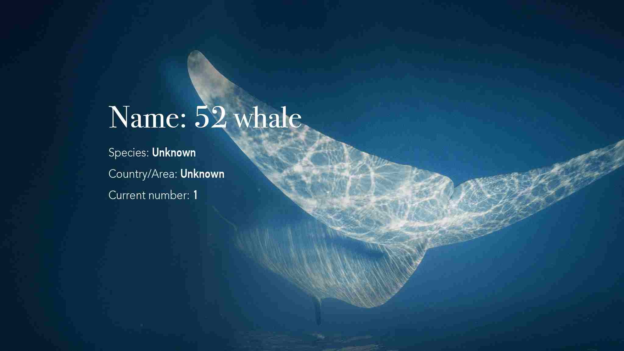 Patrick whale i ll be there