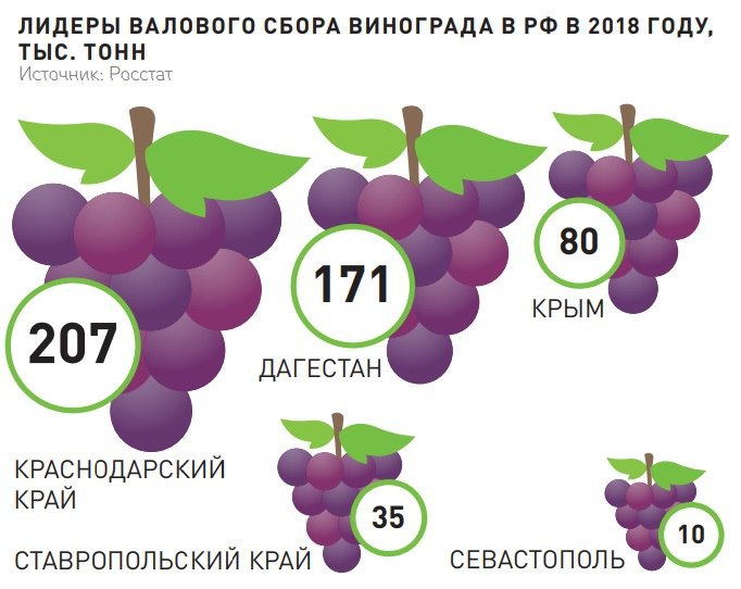 Работающие на импортных виноматериалах заводы могут уйти из России