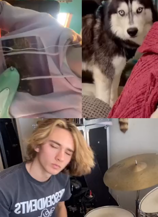 Creando música con el aullido del perro