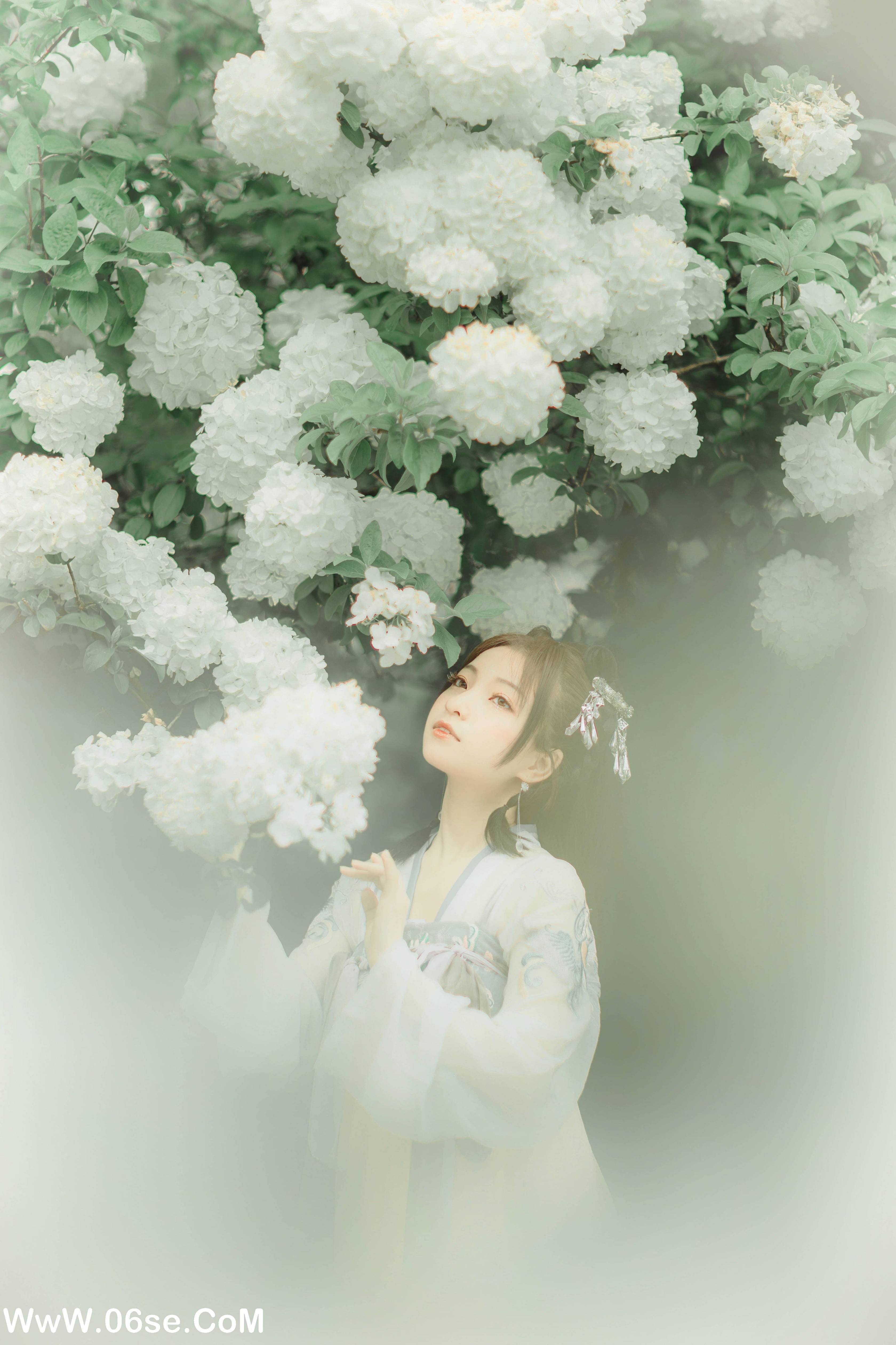 图片[3]-[YITUYU艺图语]2022.01.03 拂花 一千只大日日[20+1P／181MB]-六色网
