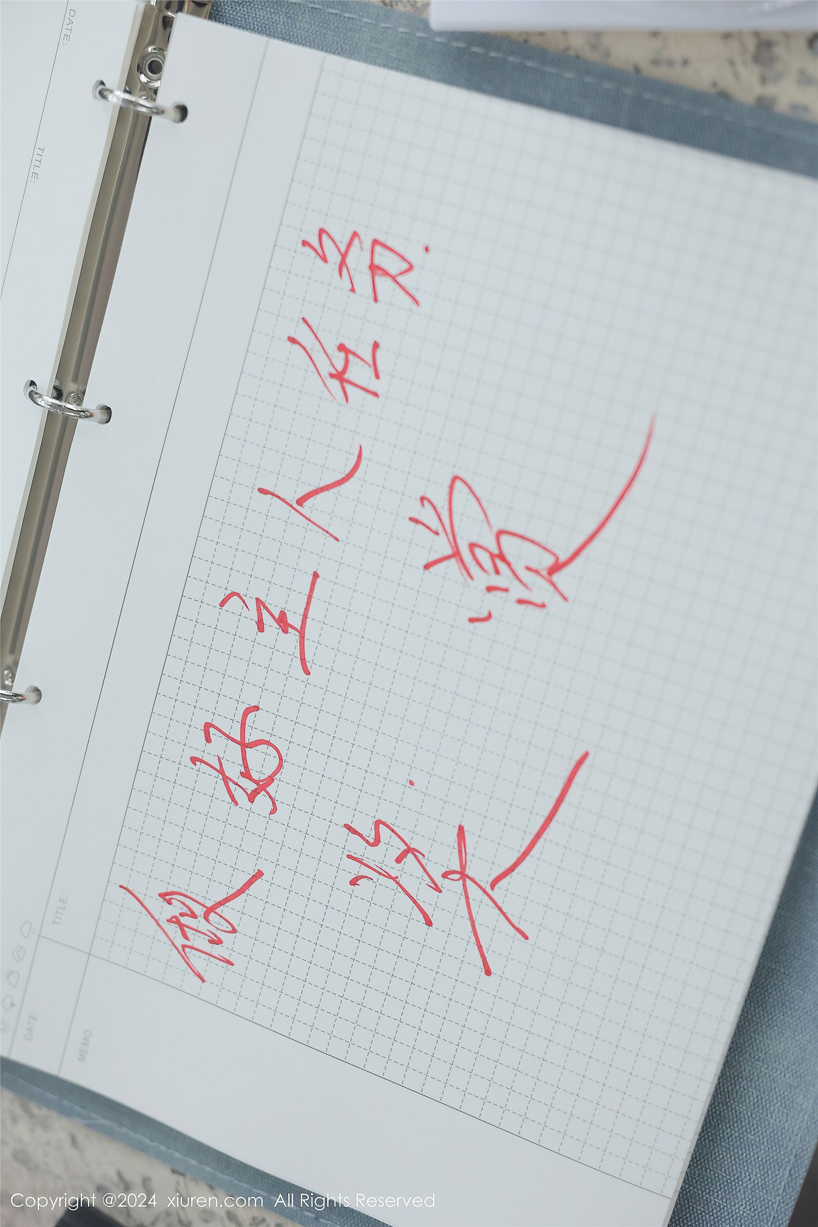 图片[60]-[XIUREN秀人网] 2024.04.02 NO.8335 小薯条nienie-六色网