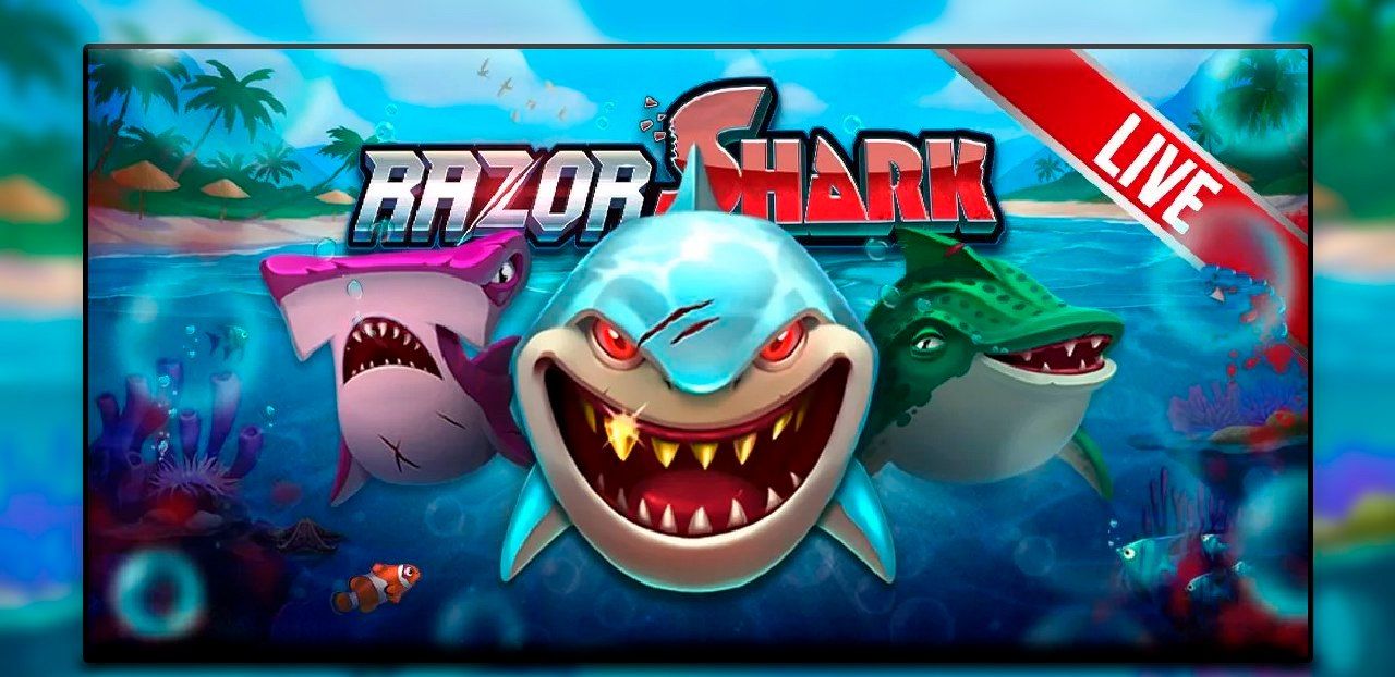 казино акула онлайн