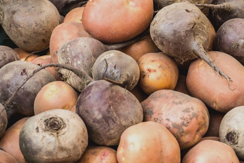Минсельхоз назвал долю импортных семян свеклы и картофеля на рынке