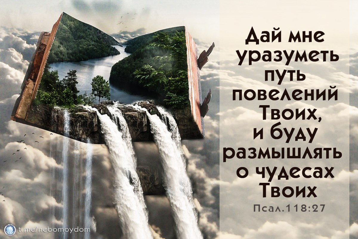 Ты выбираешь чудеса твои. Уразумею чудеса от закона твоего.