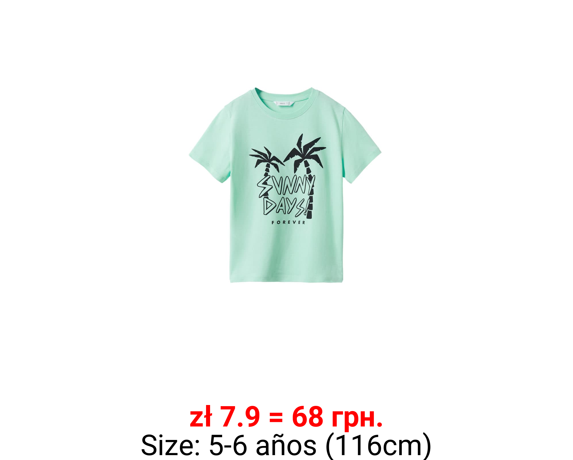 Camiseta algodón estampado