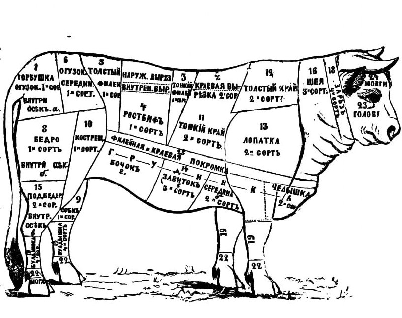 Разделка говядины схема