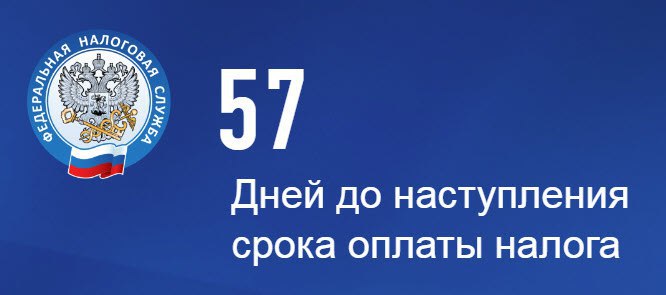 Федеральной налоговой службы 34