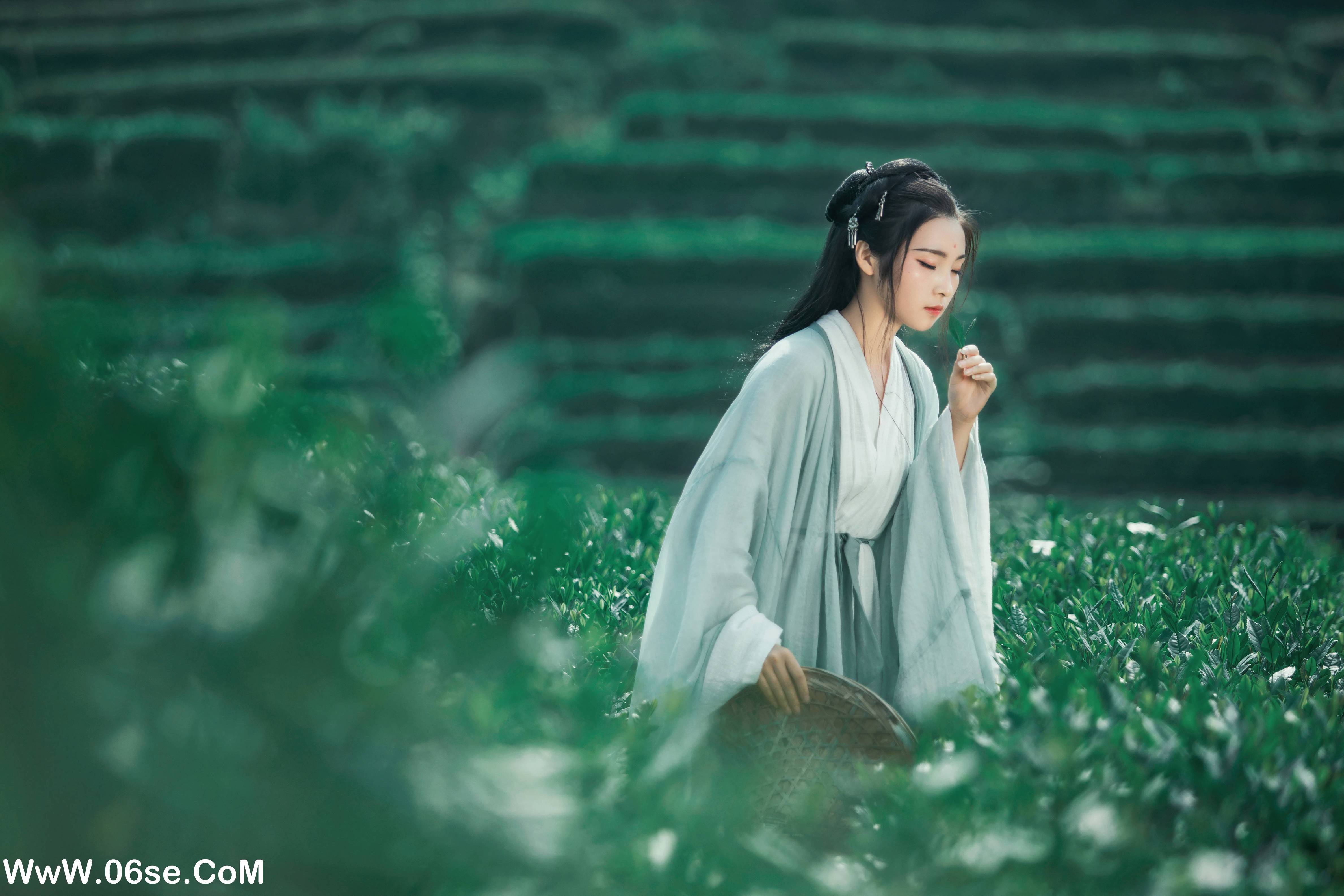 图片[5]-[YITUYU艺图语]2022.05.26 茶山 一个白鹿[32P-824.38MB]-六色网