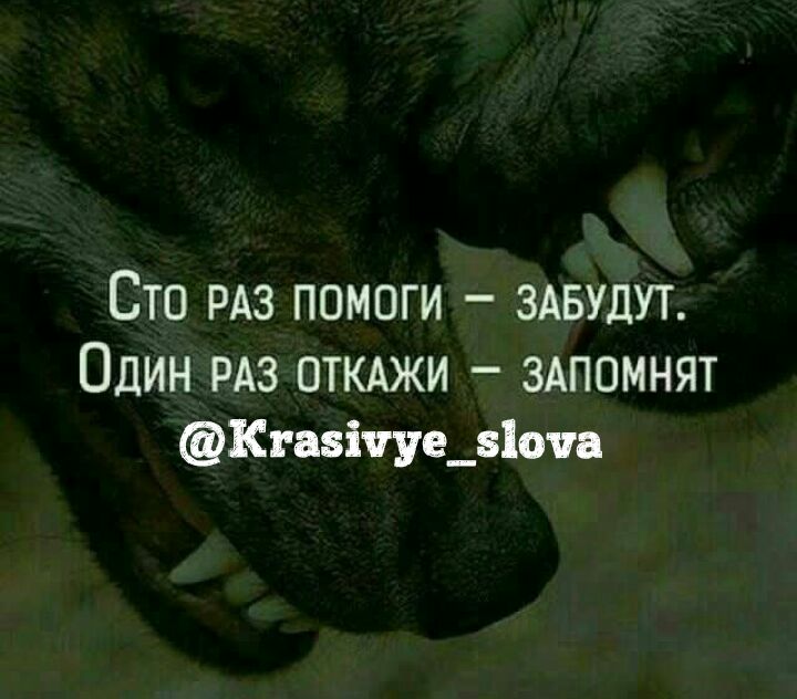 Не раз помогал. СТО раз помоги забудут один. СТО раз помоги забудут один раз откажи запомнят. Поможешь 100 раз забудут. СТО раз помоги забудут один раз откажи запомнят на всю жизнь цитата.