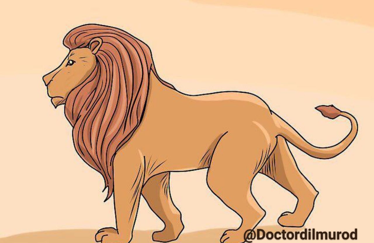 Как нарисовать Льва