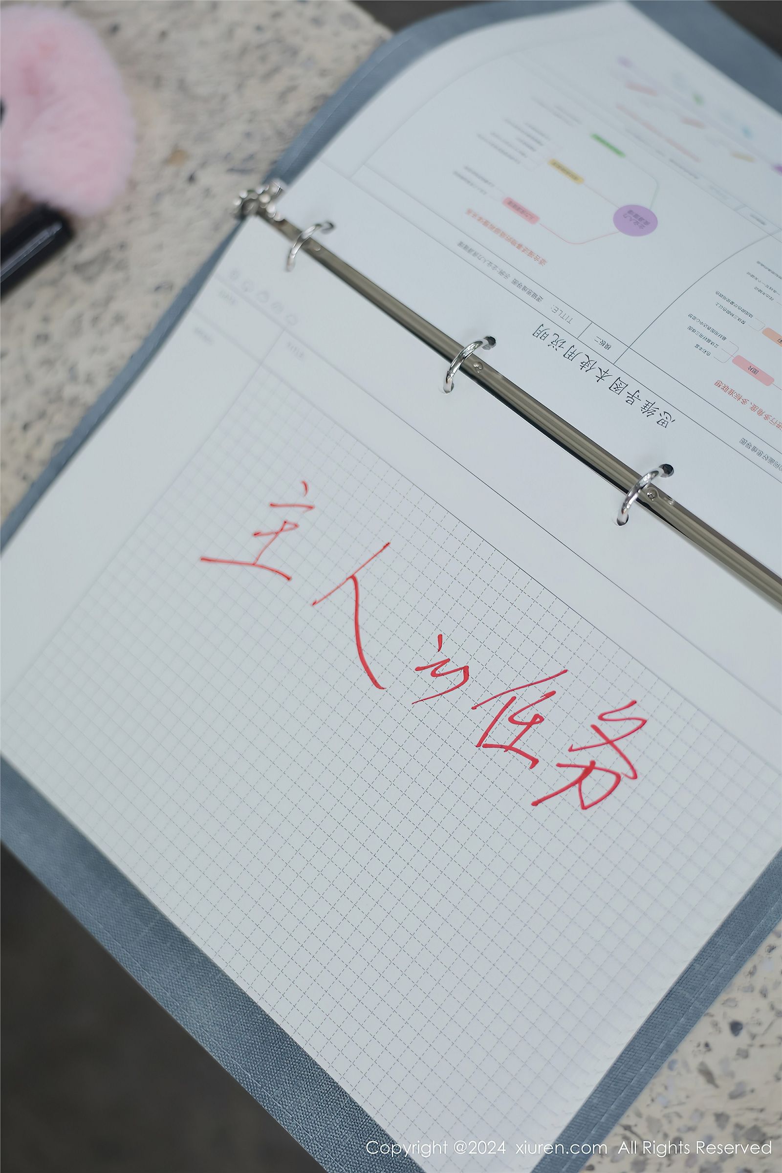 图片[50]-[XIUREN秀人网] 2024.04.02 NO.8335 小薯条nienie-六色网