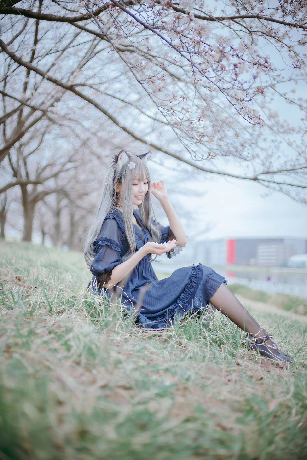 [Ely] Sakura桜 2021 Nekomimi Ver. 17