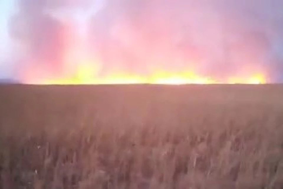 Сгорел природный парк "Хасанский" в Приморье