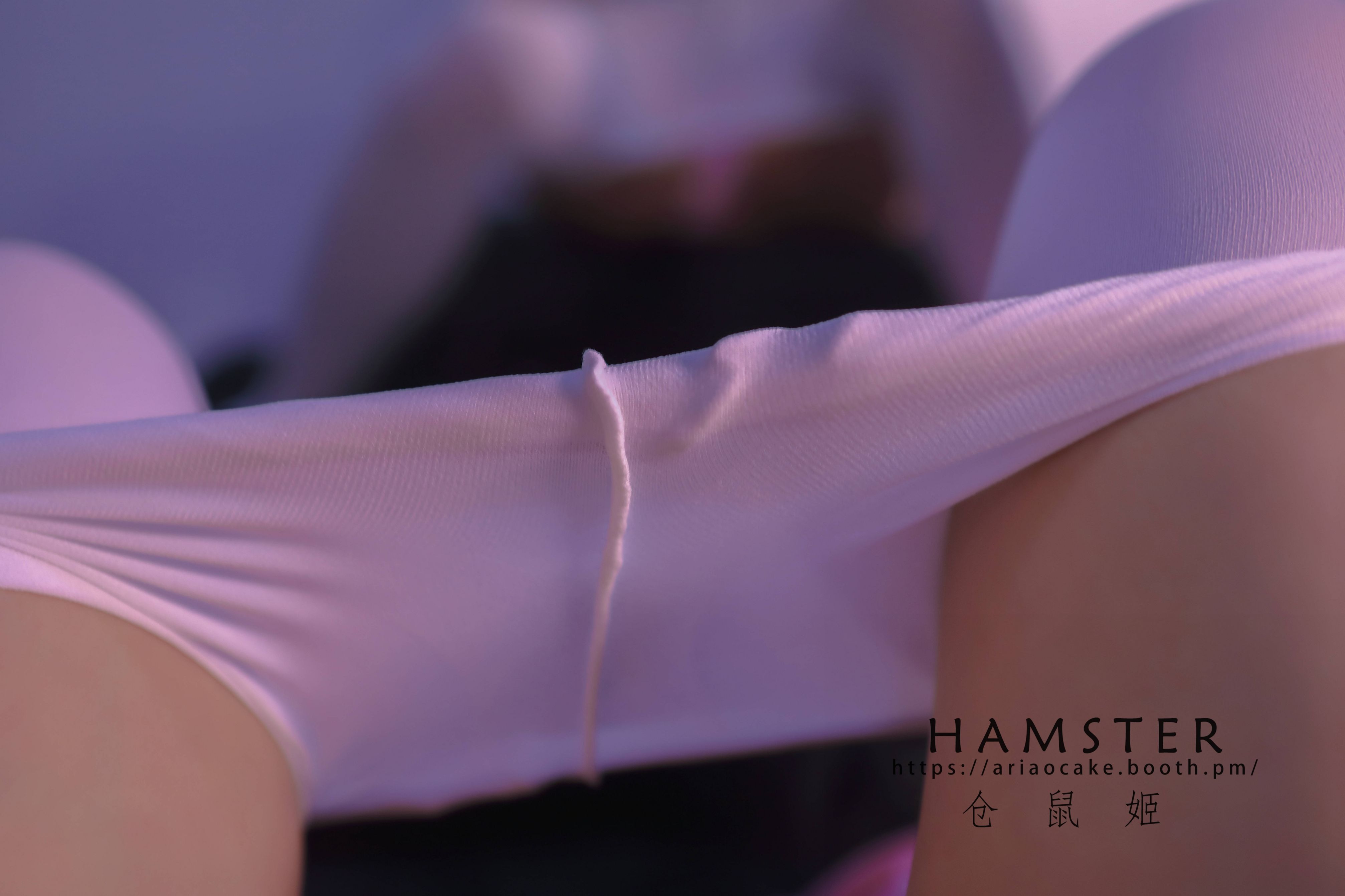 HAMSTERS 仓鼠姬 - NO.005 VOL.02 居家女友2 [34P-38MB] 25
