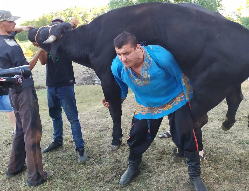 Мужчина бык и мужчина лошадь. Антропометрия Дмитрия Халаджи.