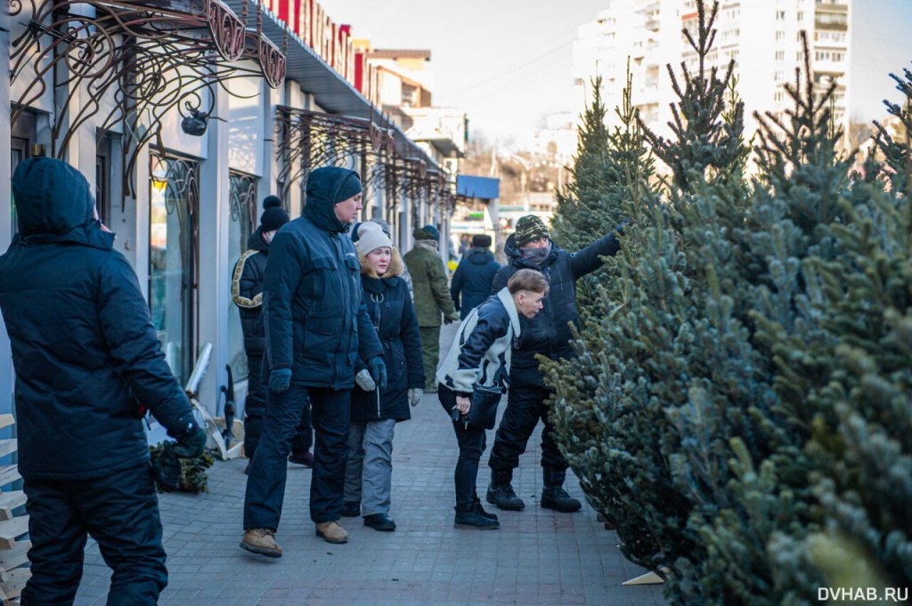 Елочные базары в Хабаровске (2022)