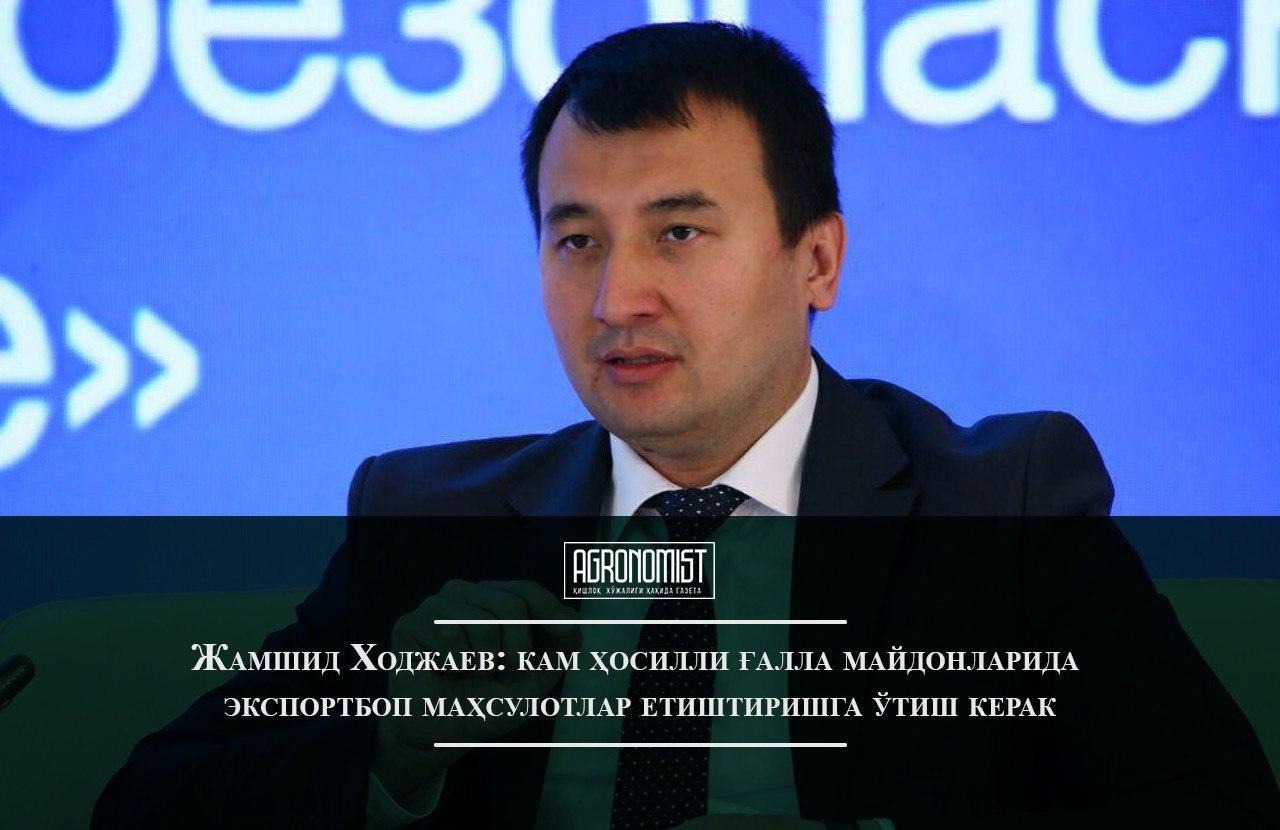 Ходжаев новый министр здравоохранения. Владимир Осаковский. Осаковский Владимир Владимирович. Куда ушел Кульгинов.