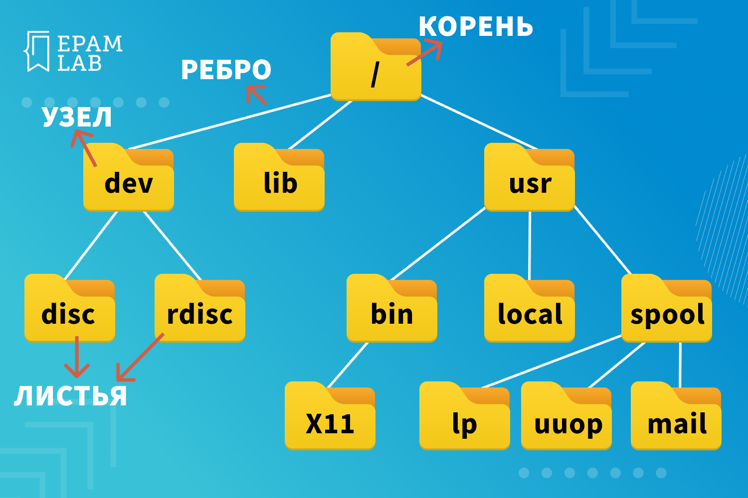 Структуры данных: что такое деревья? | EPAM Campus