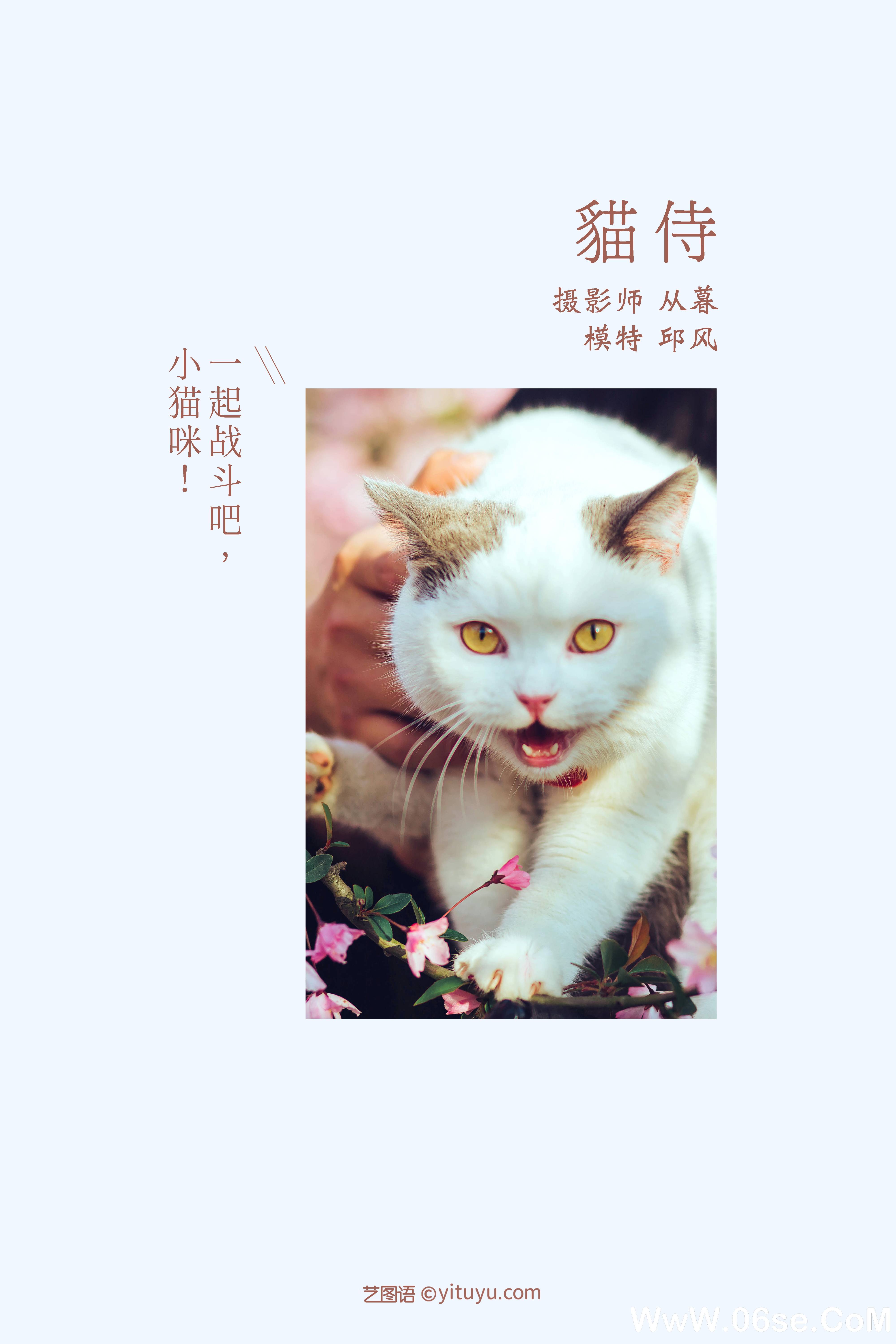 图片[2]-[YITUYU艺图语]2021.09.04 猫侍 邱风[30+1P／311MB]-六色网