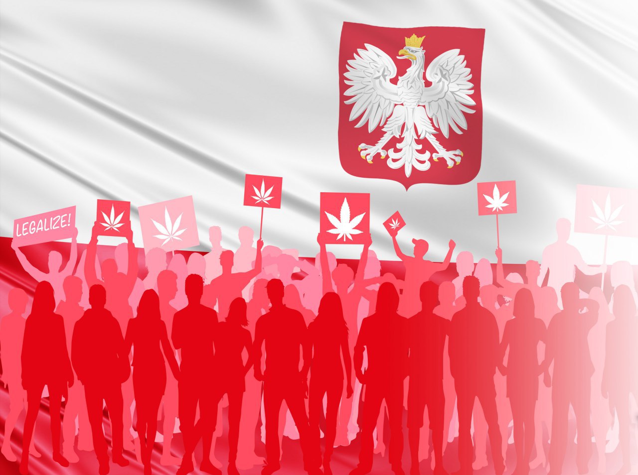 Польша марихуана конопля как корм для скота