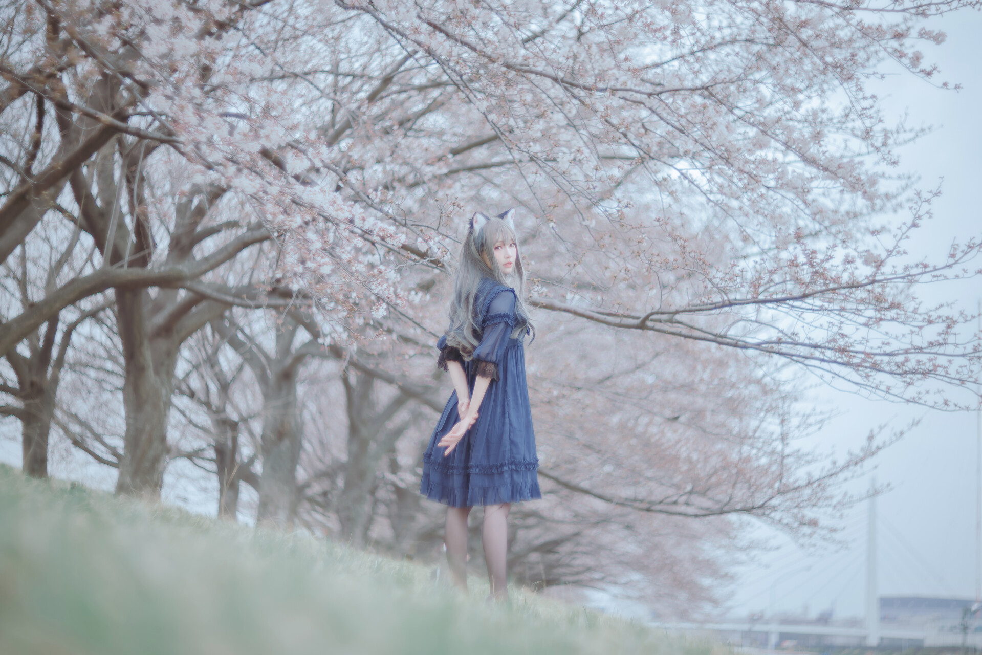 [Ely] Sakura桜 2021 Nekomimi Ver. 22