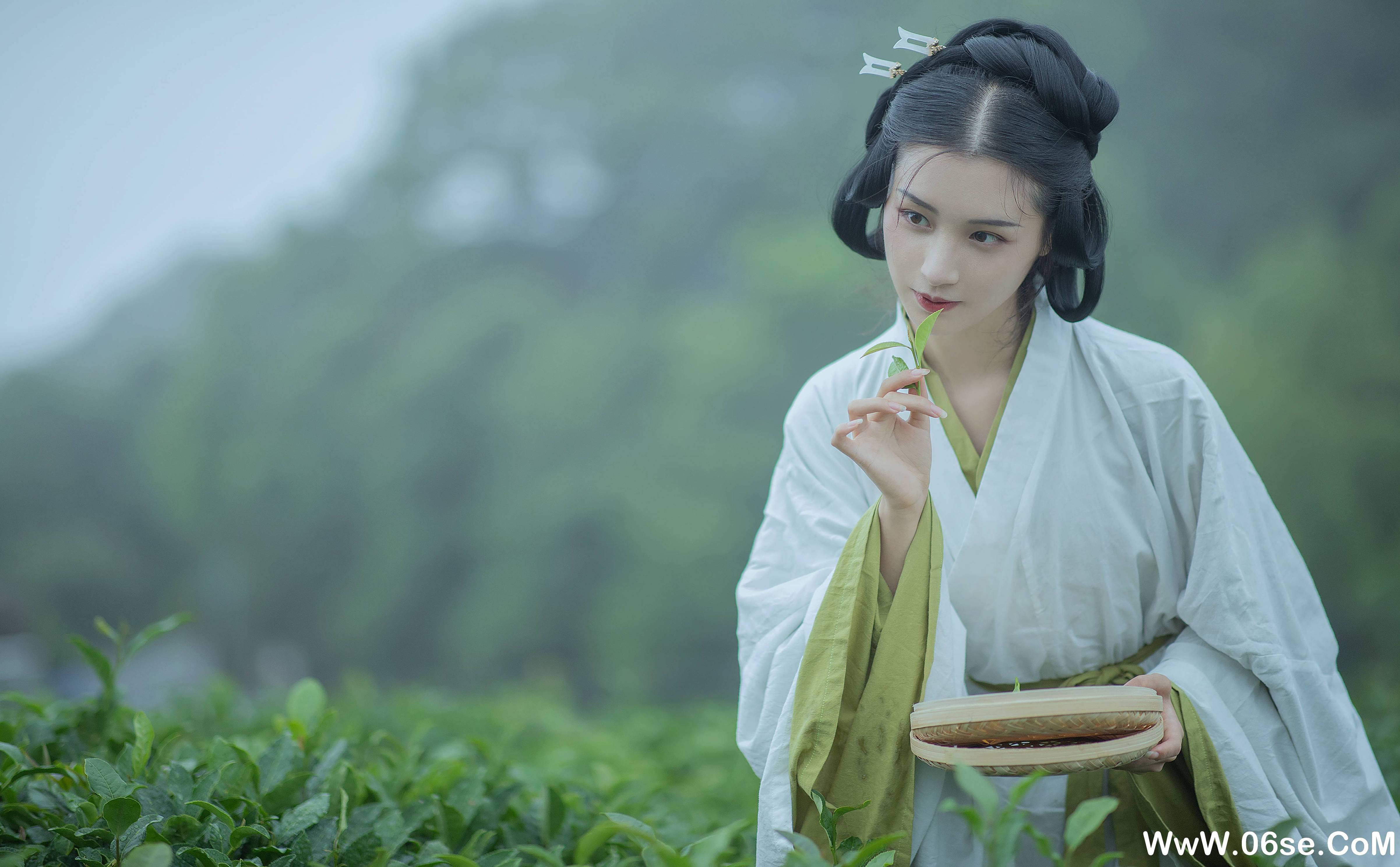 图片[14]-[YITUYU艺图语]2021.12.02 采茶女 十八重川[19+1P／151MB]-六色网