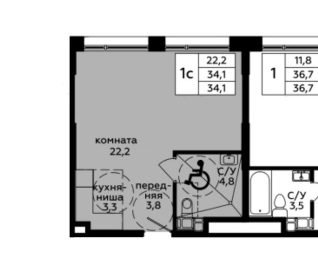 Мята – Telegraph