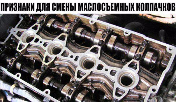 Какие существуют признаки для замены маслосъемных колпачков? – Telegraph