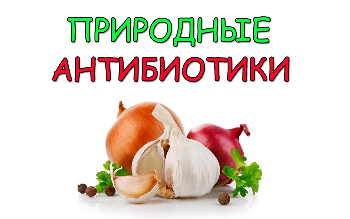 Природный антибиотик. Природные антибиотики. Продукты природные антибиотики. Лучшие природные антибиотики. Брошюра природные антибиотики.