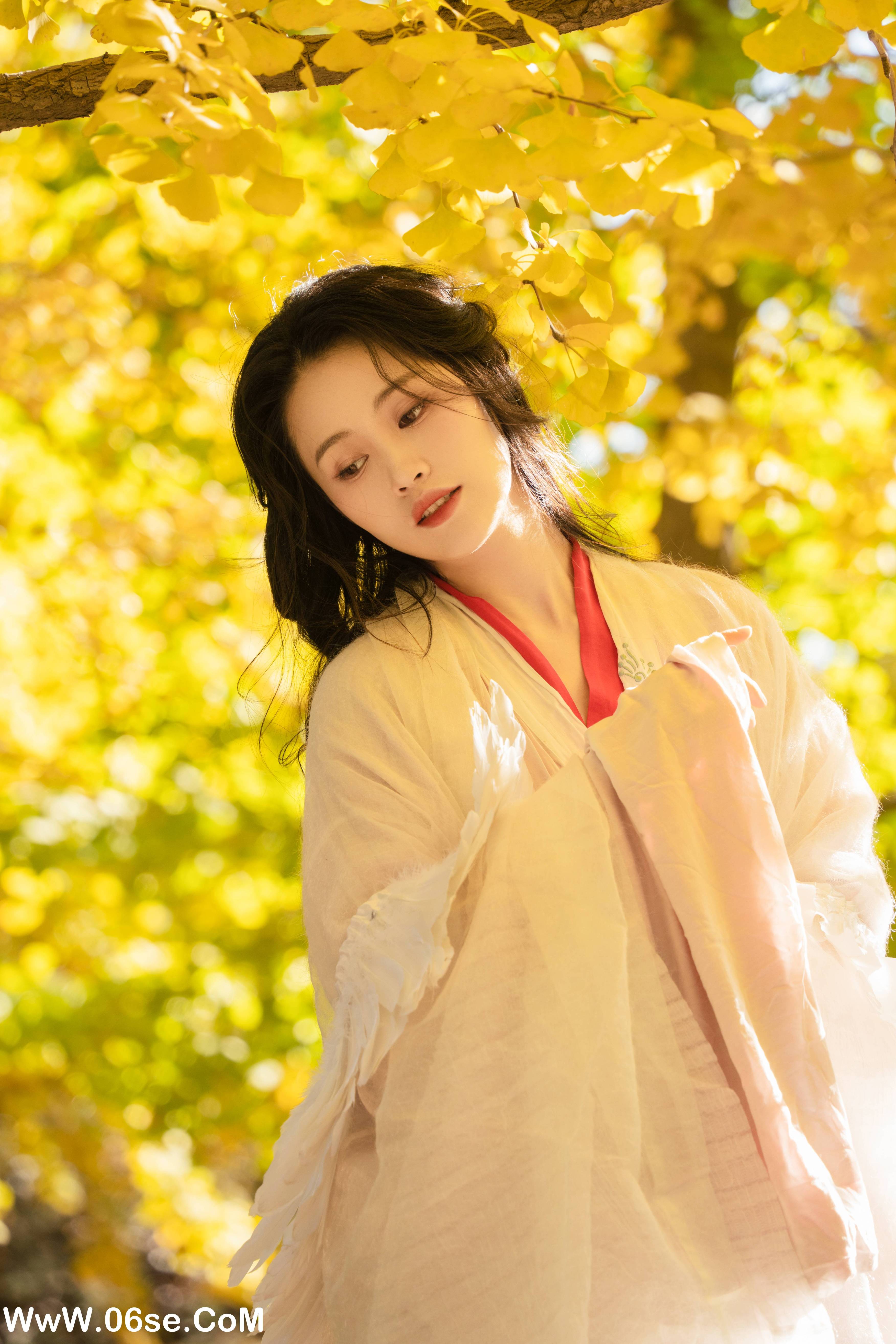 图片[12]-[YITUYU艺图语]2022.11.30 银杏 青霜鹅[25+1P／393MB]-六色网