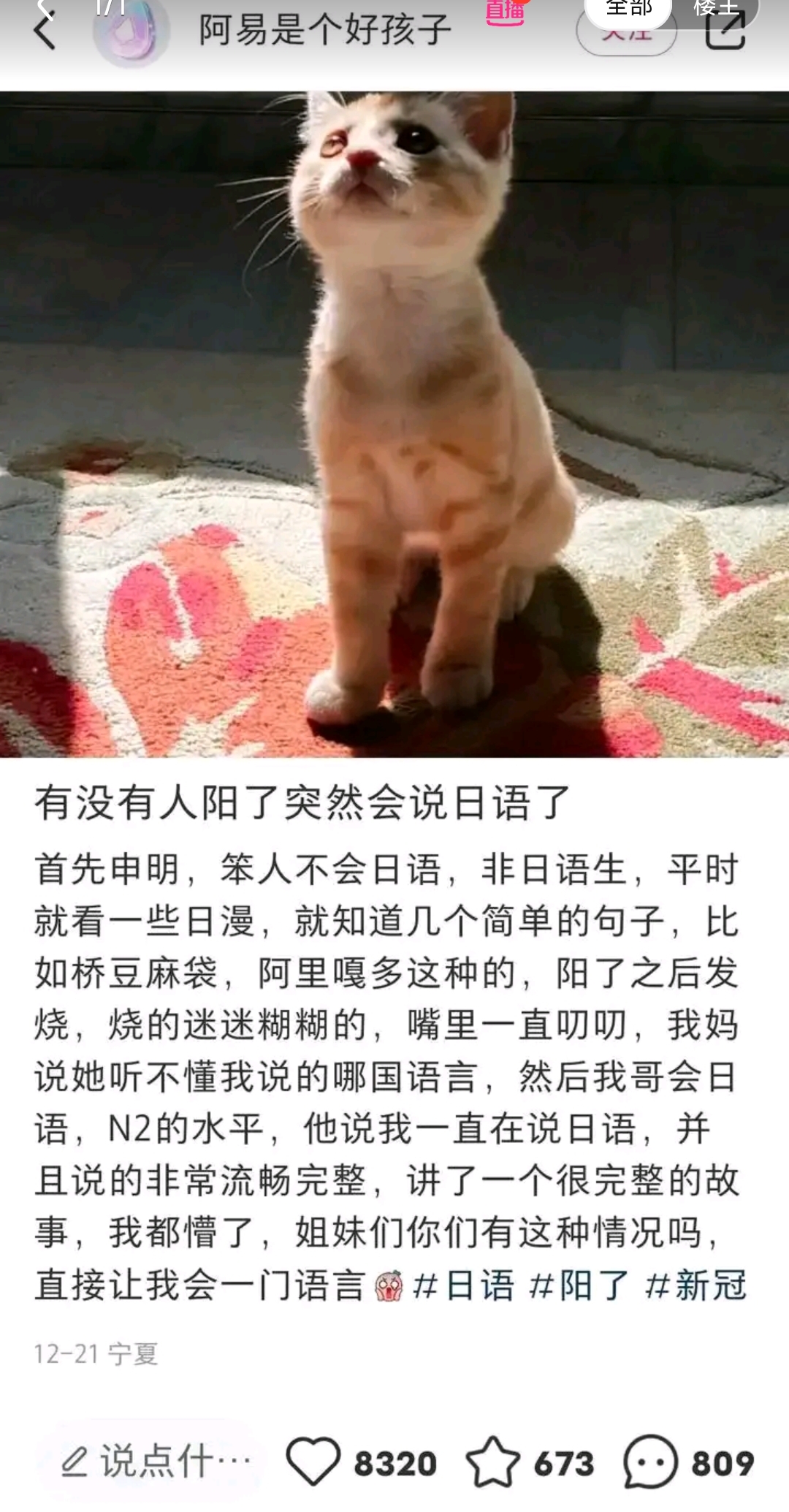 https://telegra.ph/file/7d0404eff5ef8e7e3b34b.jpg
