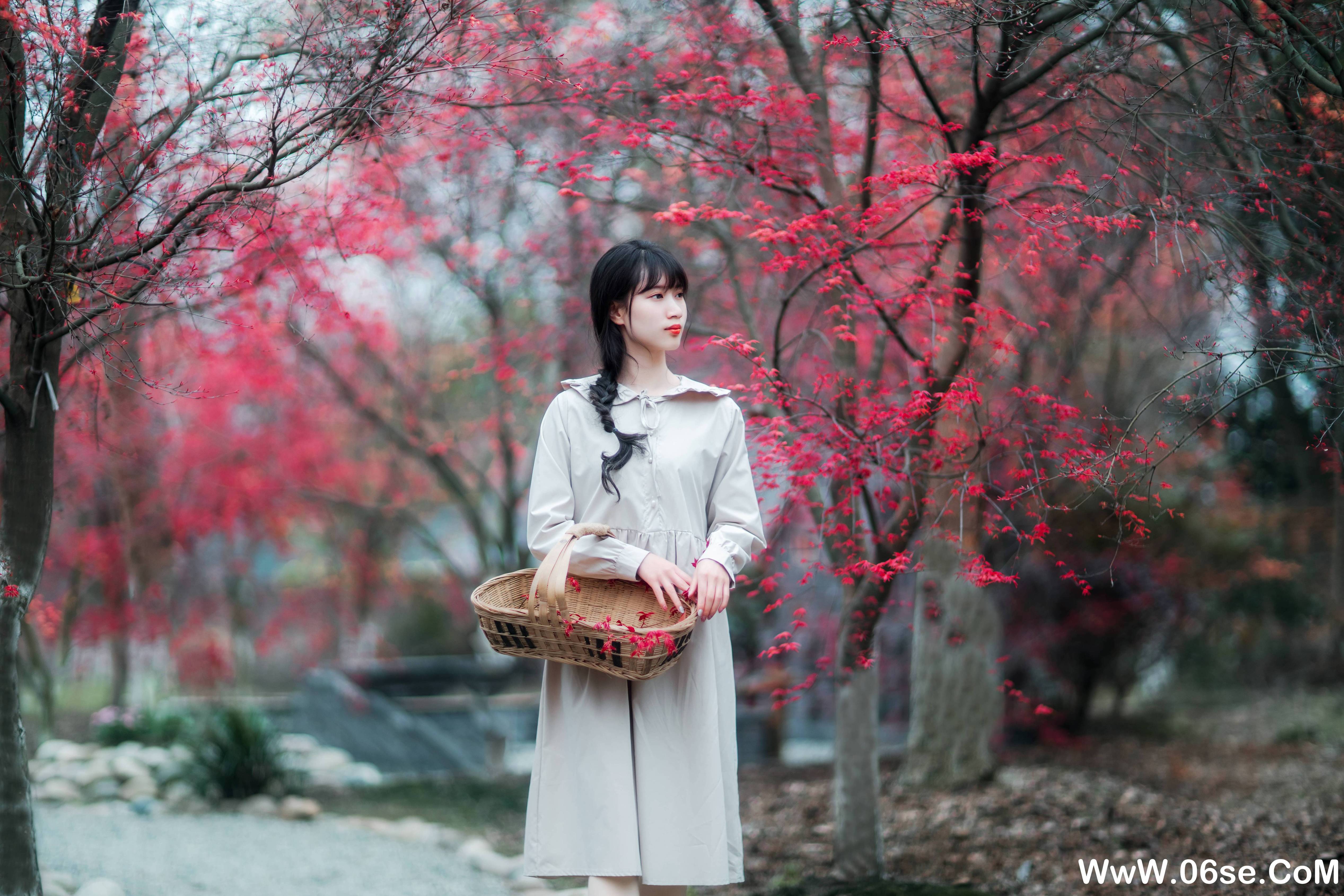 图片[4]-[YITUYU艺图语]2021.12.23 枫林春晓 初茶[38+1P／745MB]-六色网
