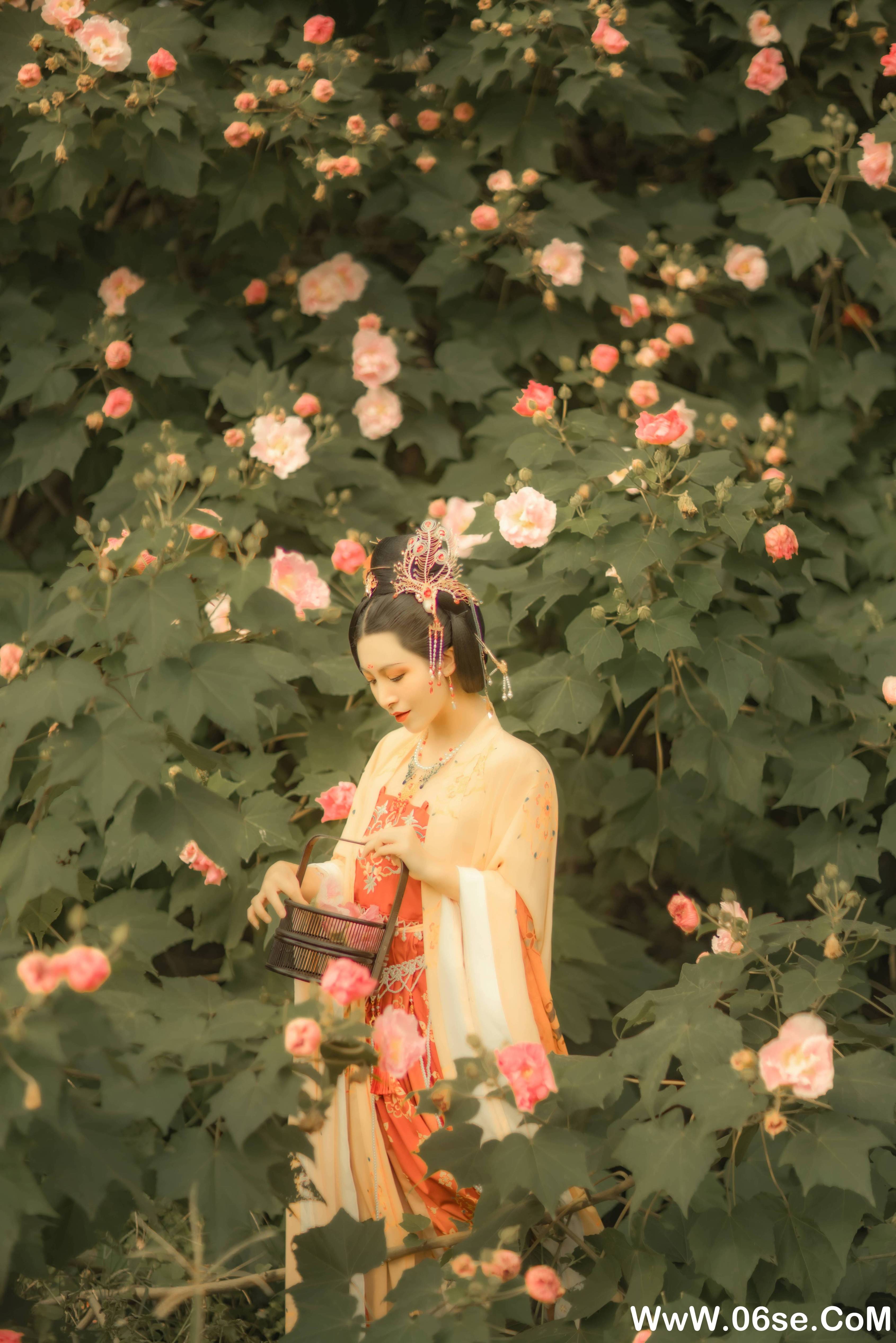 图片[20]-[YITUYU艺图语]2021.11.18 芙蓉词 修水凝花[37+1P／515MB]-六色网