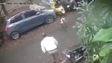 Atacando a un perro