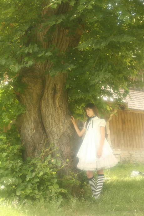 [Image: 7ea90fad8516a962e5779.jpg]