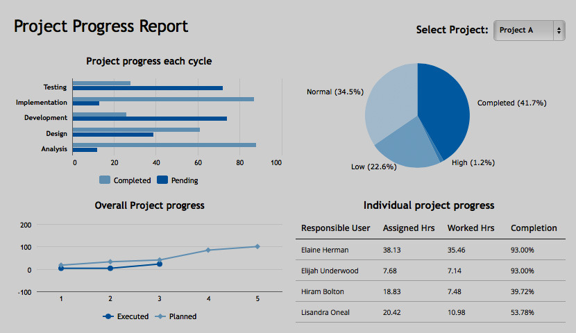 Info reports. Project Report. Project Report example. Прогресс проекта. Progress Report.