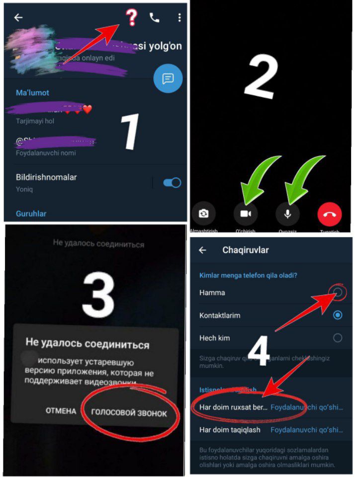 Ayollarning mushuklariga turli xil narsalar qoyilgan joyda
