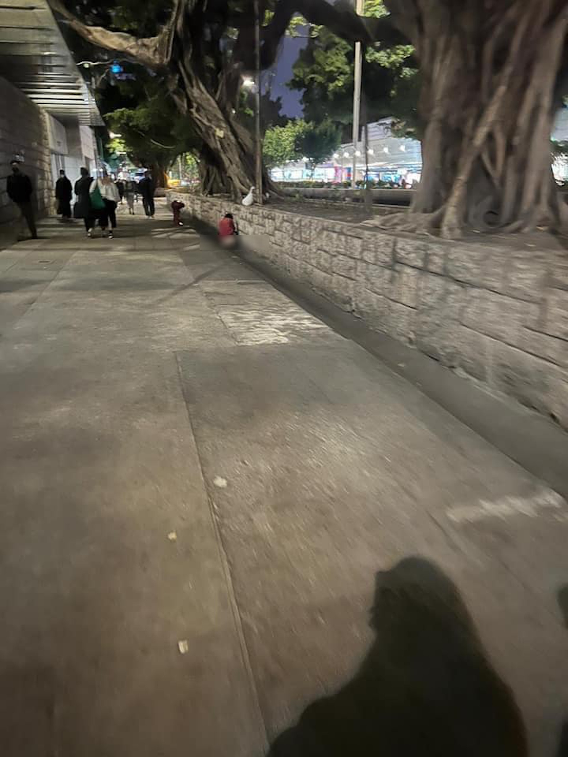 https://telegra.ph/file/7f537aa4efa0de405884b.jpg