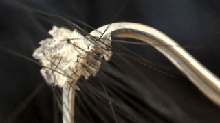 https://telegra.ph/file/7feaffa5cd3bc0b532ec1.gif