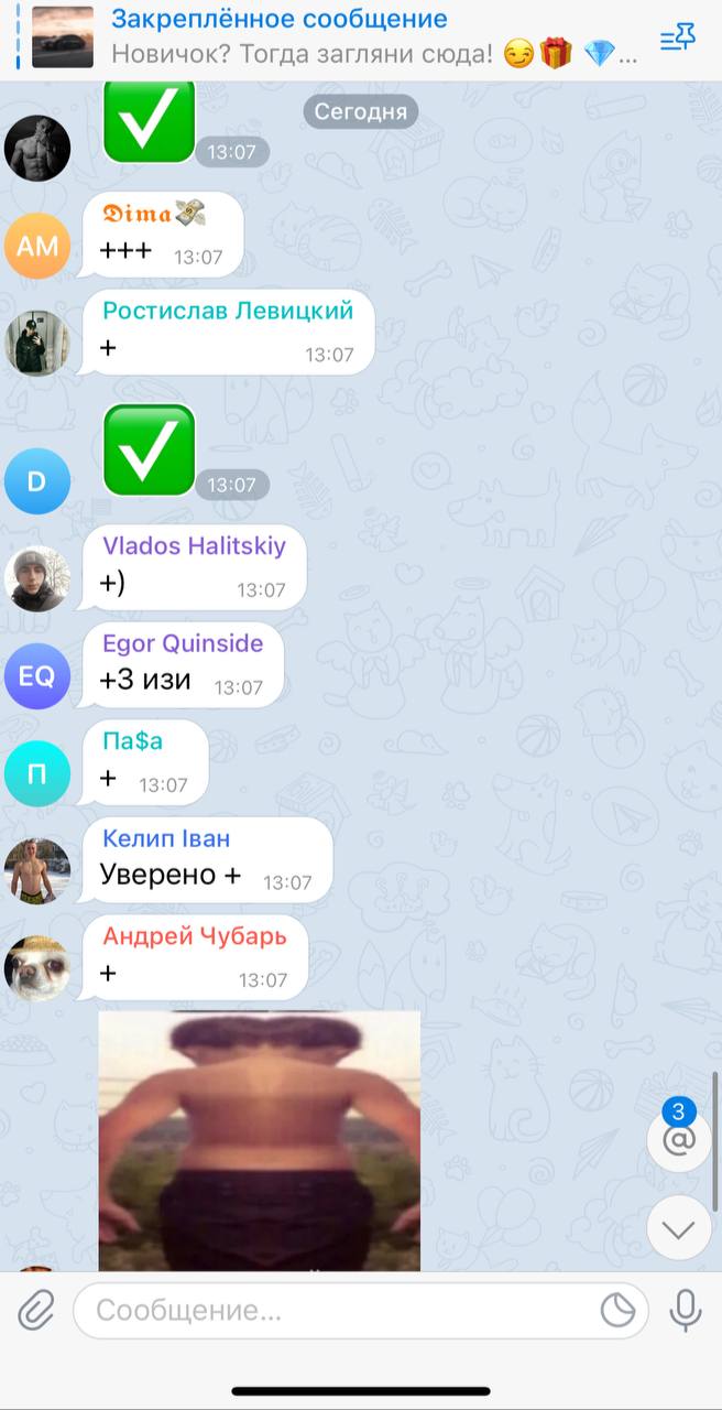 Telegram stories