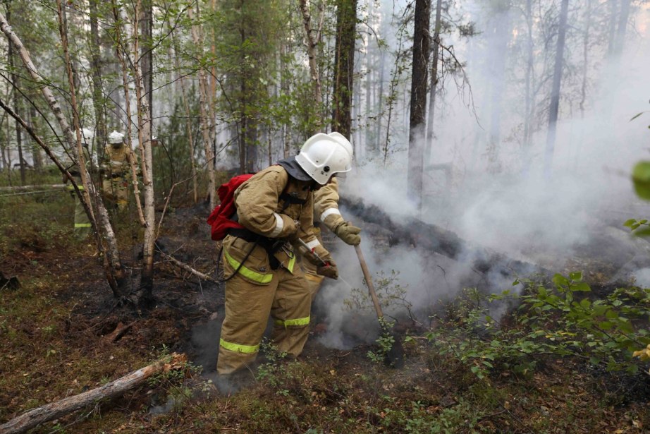 Все лесные пожары в Хабаровском крае потушены
