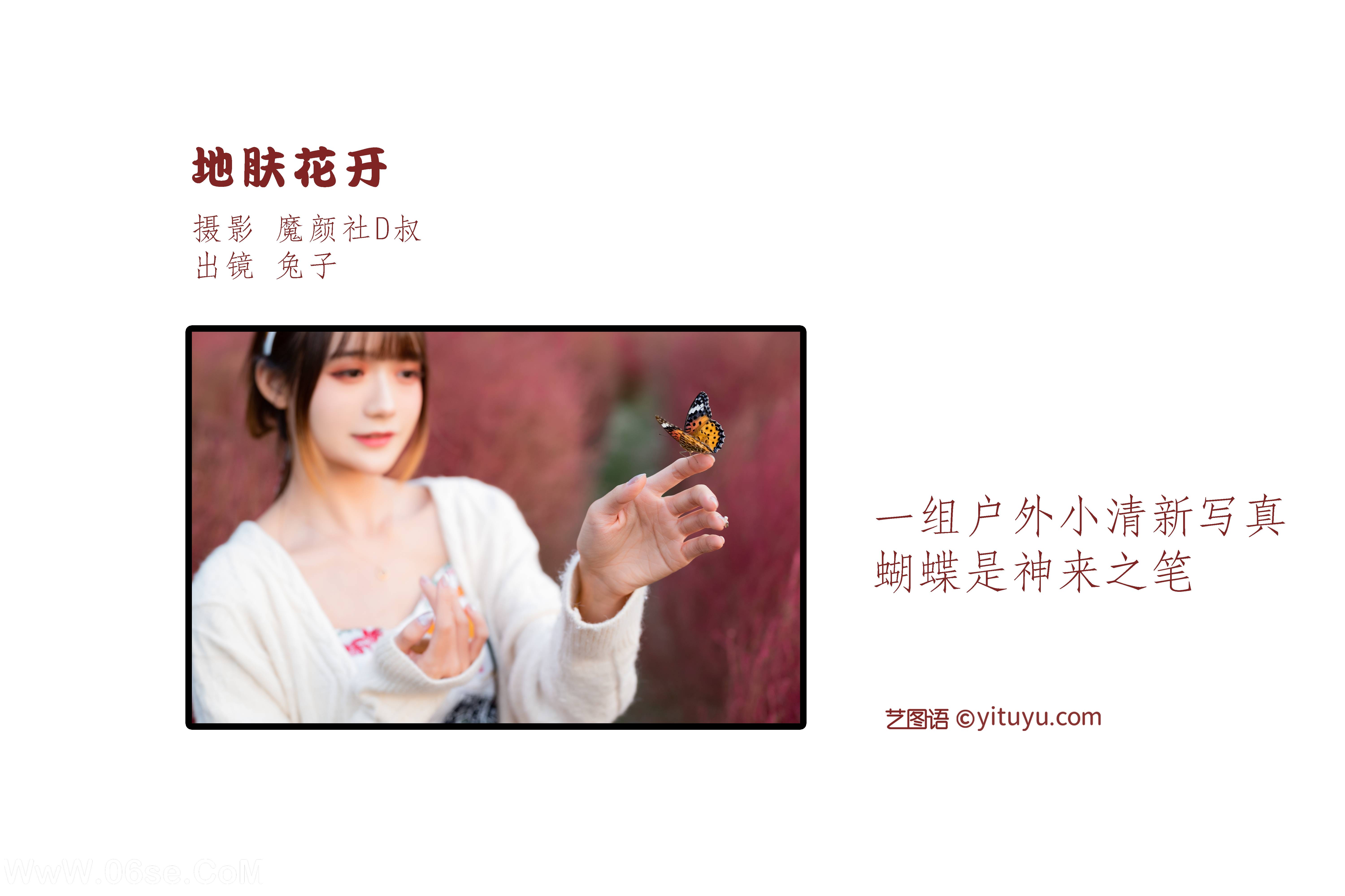 图片[2]-[YITUYU艺图语]2022.06.27 地肤花开 兔子Zzz不吃胡萝卜[35P-331.1M]-六色网