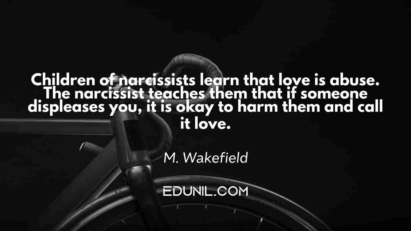 Children of narcissists learn that love is abuse. The narcissist teaches them that if someone displeases you, it is okay to harm them and call it love. - M. Wakefield 