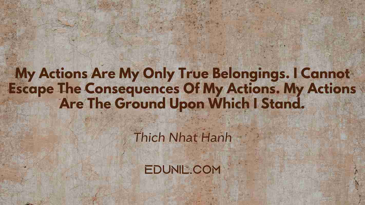 My Actions Are My Only True Belongings. I Cannot Escape The Consequences Of My Actions. My Actions Are The Ground Upon Which I Stand. - Thich Nhat Hanh 