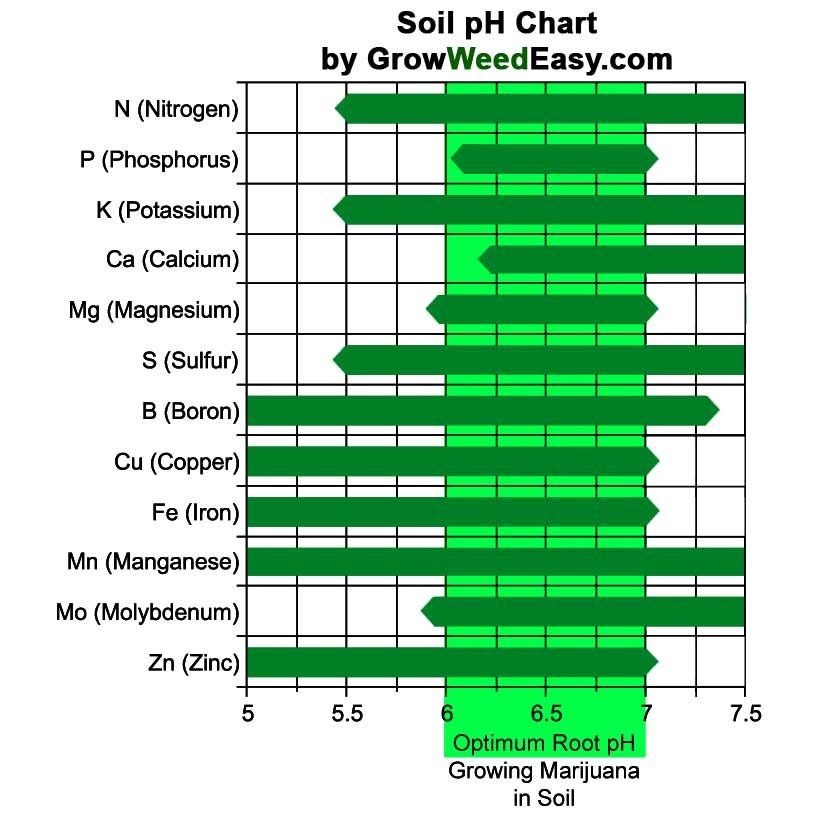 pH values ​​for optimal absorption