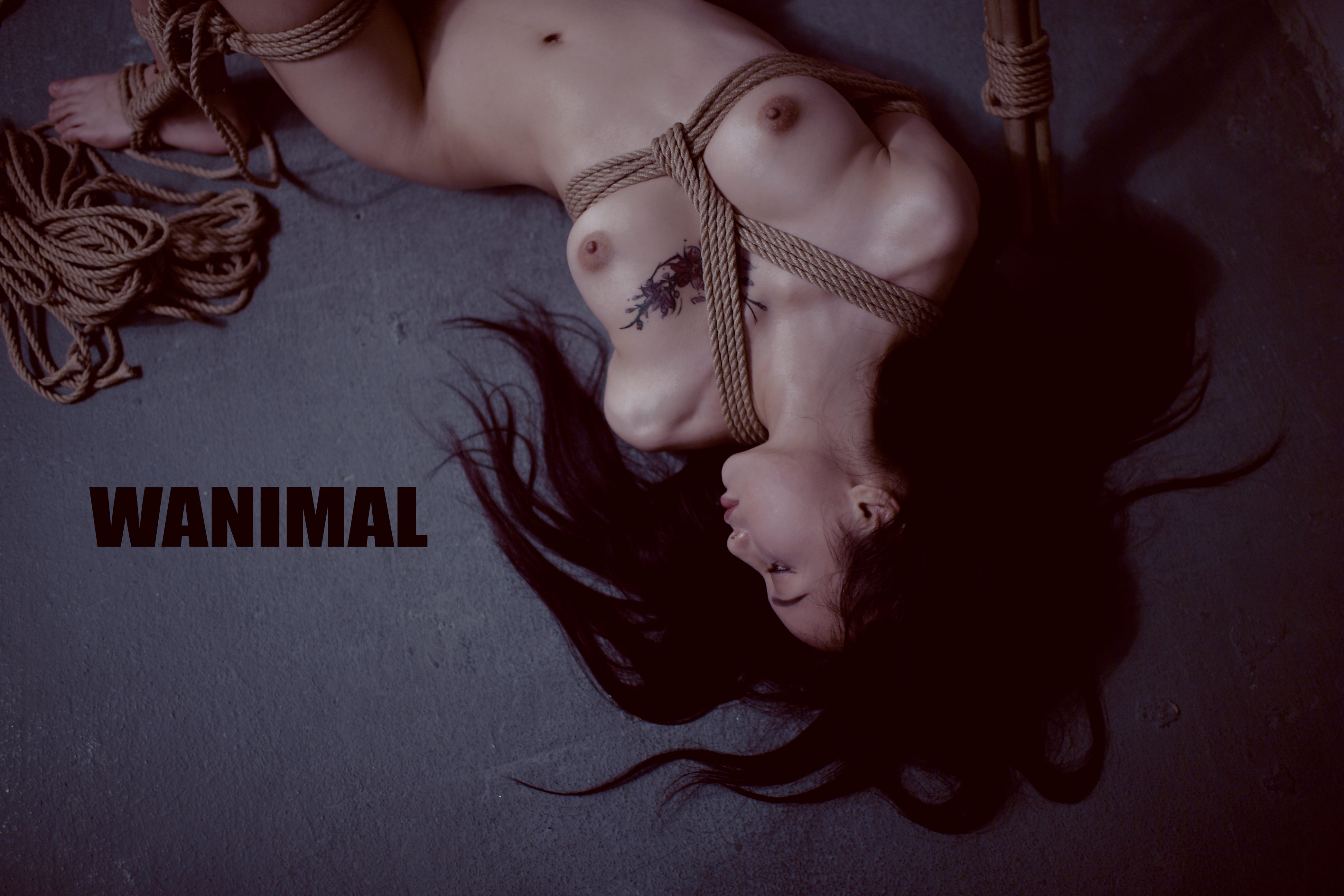 王动WANIMAL - SM绳艺 150P 88
