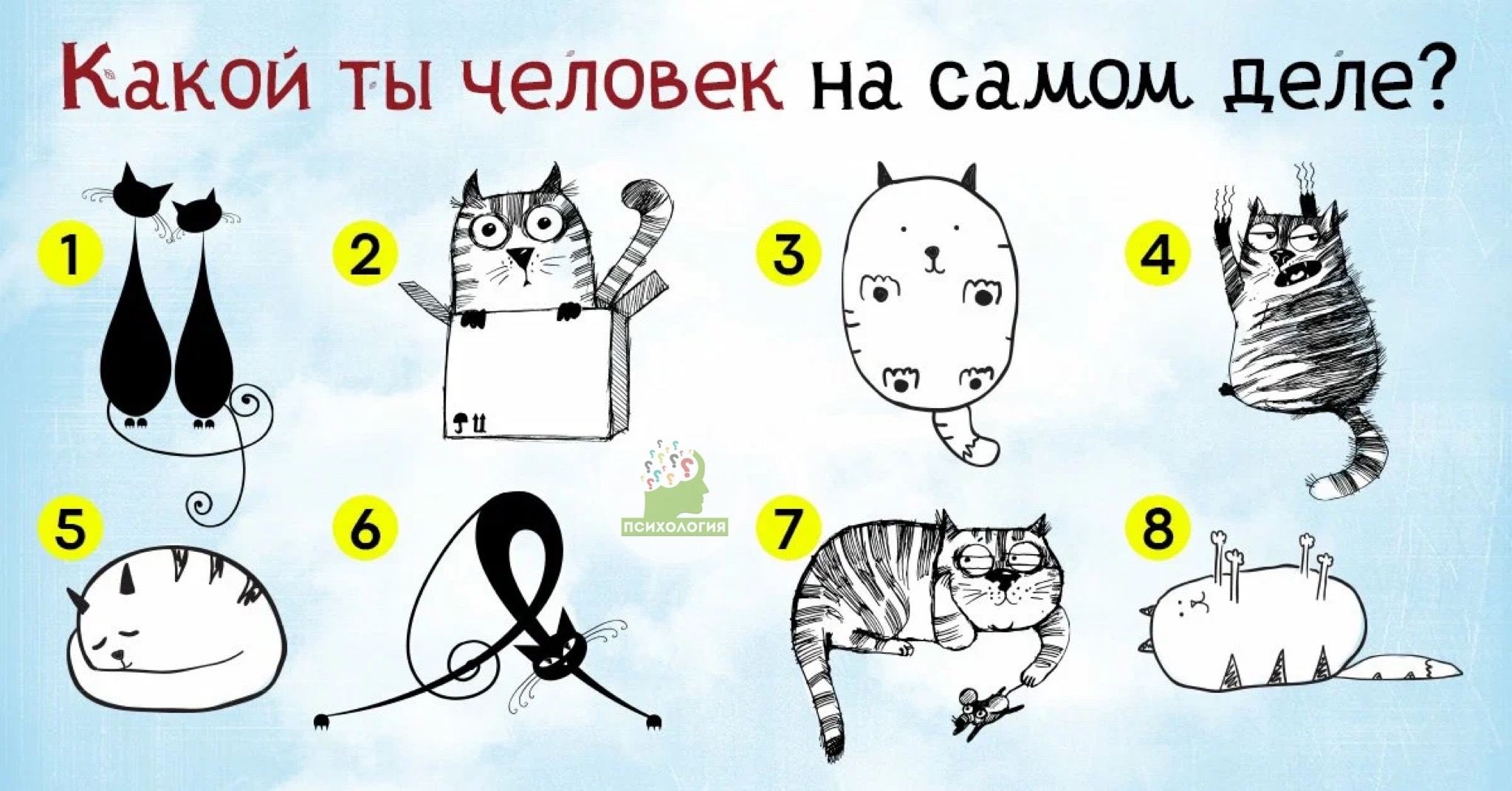 Выбери котик