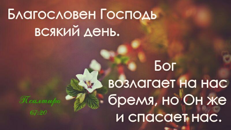 Какой ваш день. Благословен Господь всякий день. Благослови вас Господь. Благлславенного дня вбоге. Благословенного дня с Господом.