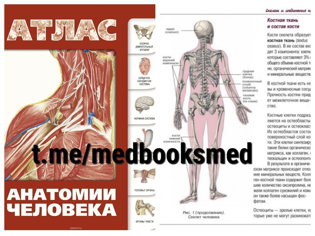 Атлас информация